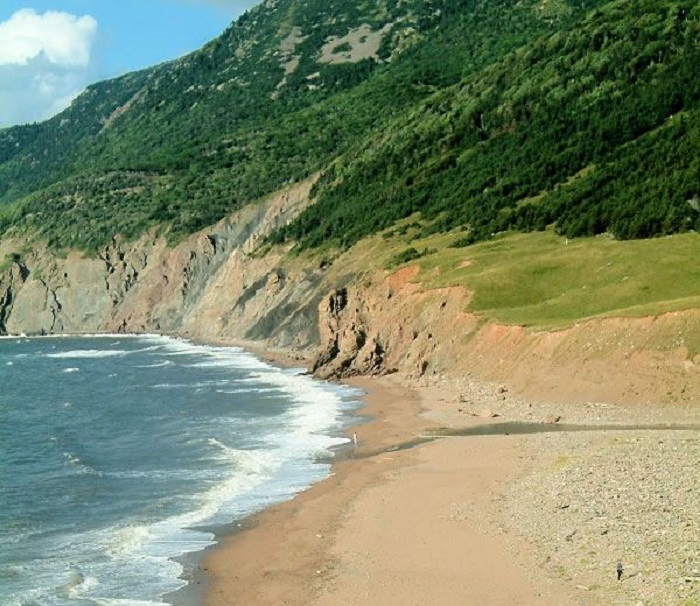 whale cove beach 1.jpg